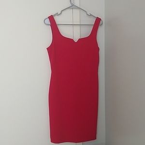 The Limited Size 2 Sweetheart Neck Red Dress